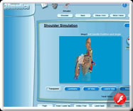 3D Medica Nerve Simulator- Script Lingo